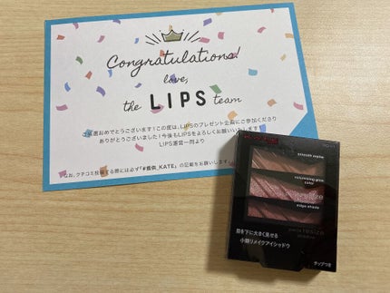 パーツリサイズシャドウ/KATE/アイシャドウパレットを使ったクチコミ(2枚目)