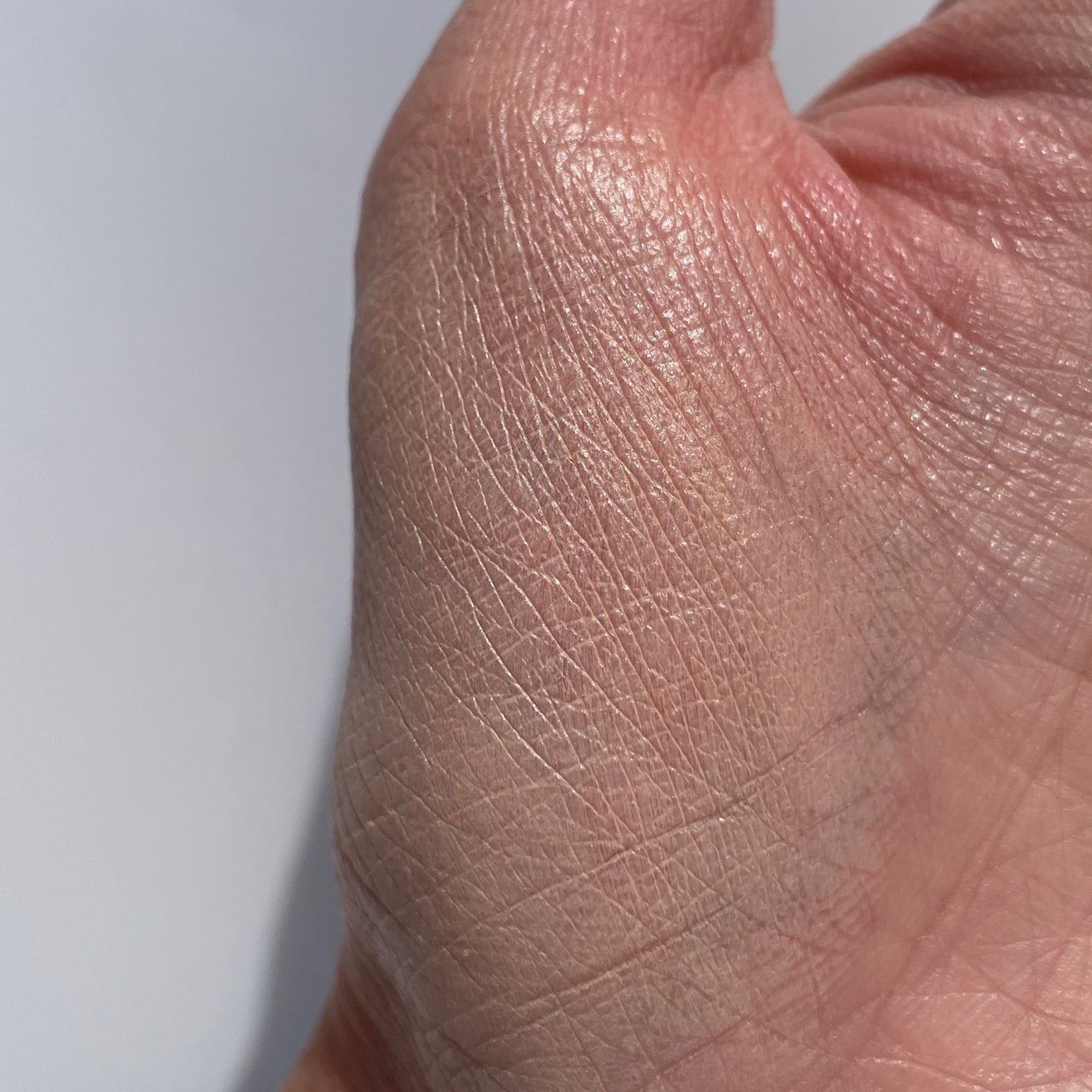 プロテーラービーベルベットカバークッション/espoir/クッションファンデーションを使ったクチコミ(5枚目)