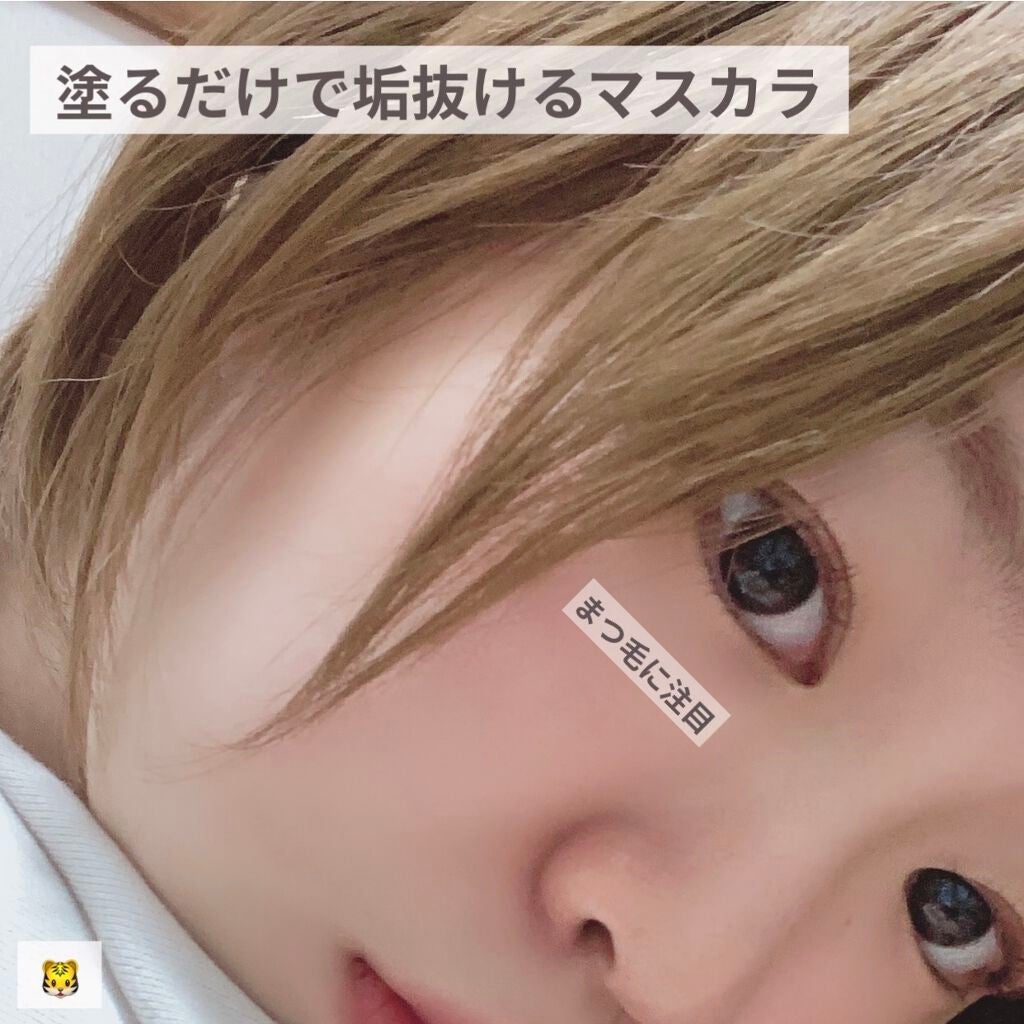 エテュセ アイエディション(マスカラ)/ettusais/マスカラを使ったクチコミ(1枚目)