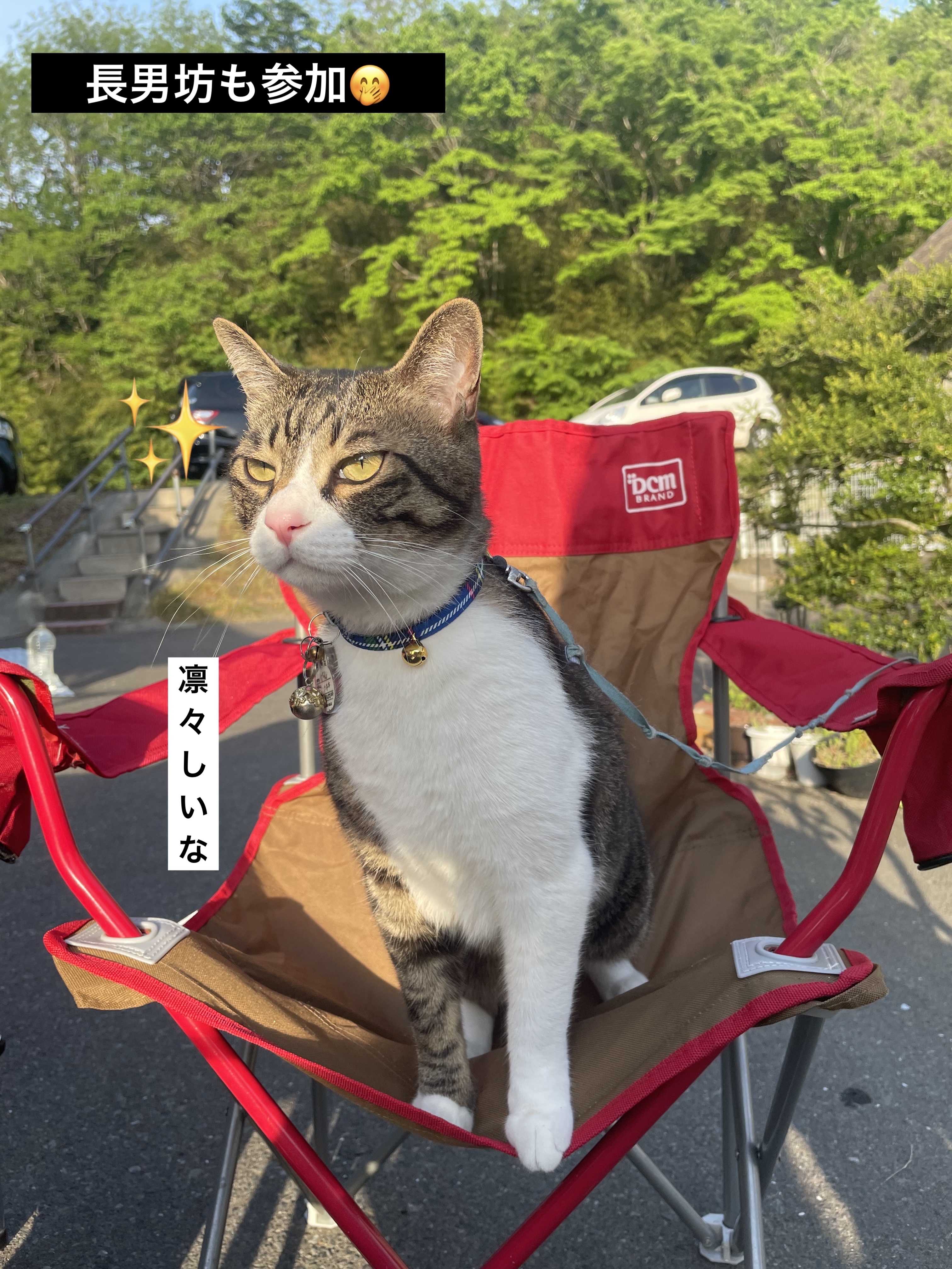 アイ フォイル/shu uemura/リキッドアイシャドウを使ったクチコミ（2枚目）