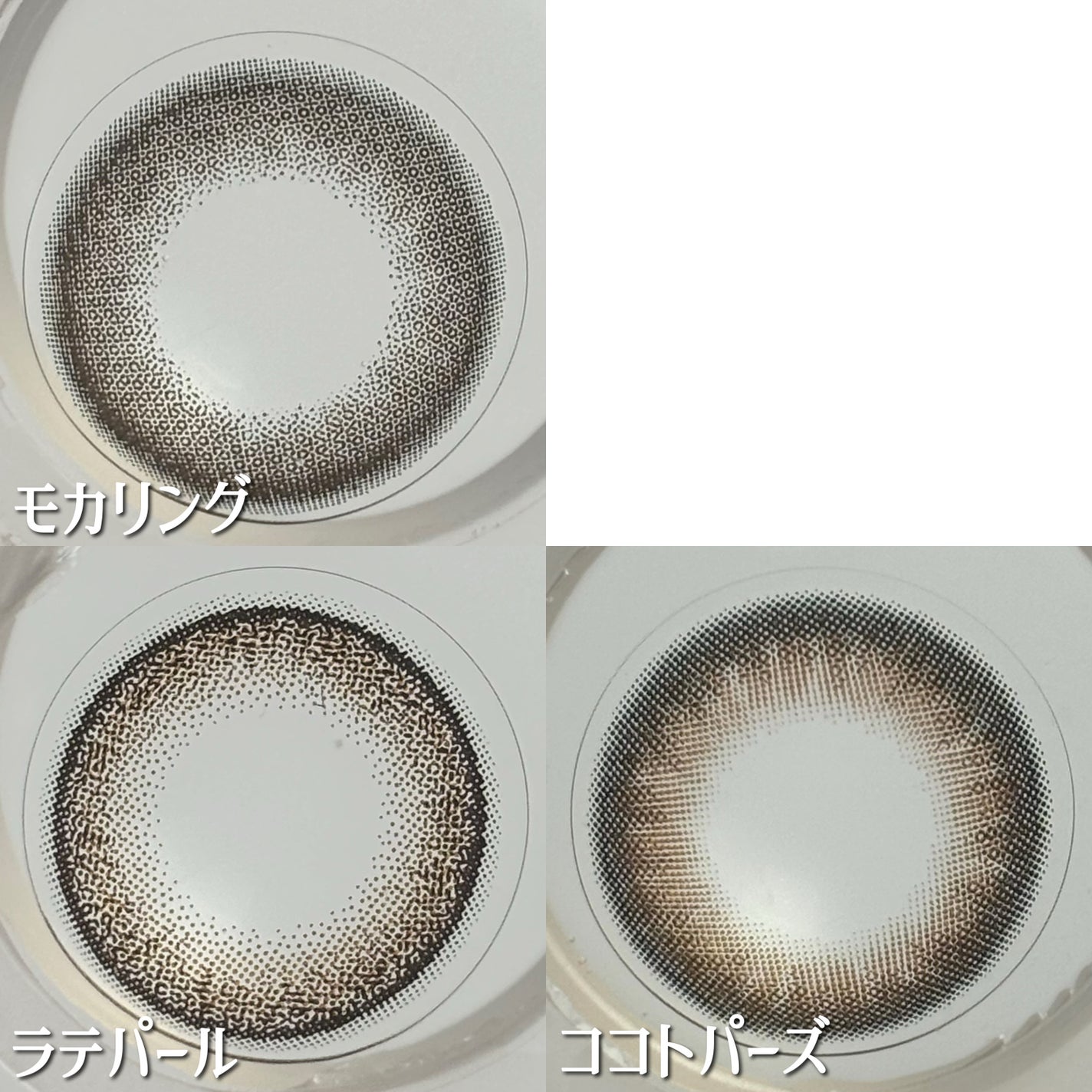 TOPARDS 1day/TOPARDS/ワンデー(1DAY)カラコンを使ったクチコミ(3枚目)