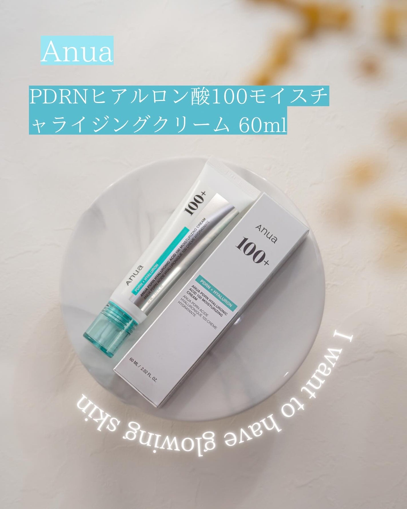 PDRNヒアルロン酸100 モイスチャライジングクリーム/Anua/フェイスクリームを使ったクチコミ(1枚目)