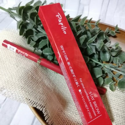 ステイブロウ/Papilio/アイブロウペンシルを使ったクチコミ(1枚目)