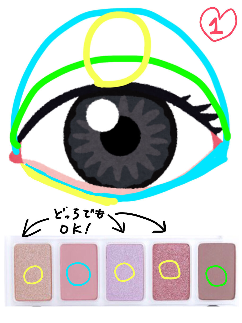 ドド アイシャドウパレットSSのクチコミ「前回の投稿にいいねありがとうございました😊
今回は前回使ったdodoのアイシャドウパレットSS.....」（2枚目）