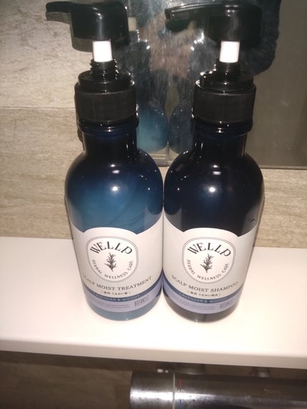 薬用スカルプケアシャンプー/トリートメント モイスト シャンプー370ml/WELLP/市販シャンプーの画像