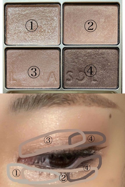 スキンモデリングアイズ/LUNASOL/アイシャドウパレットを使ったクチコミ(2枚目)