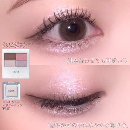 マルチカラーバリエーション トゥインクル/チャコット・コスメティクス/単色アイシャドウを使ったクチコミ(7枚目)