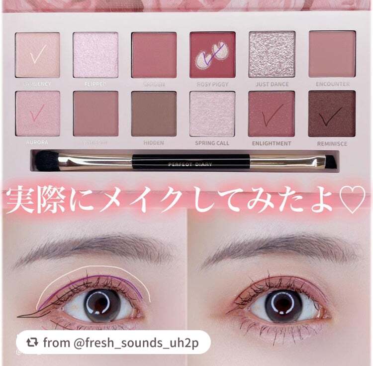 エクスプローラ12色 動物アイシャドウパレット/PERFECT DIARY/アイシャドウパレットを使ったクチコミ(5枚目)