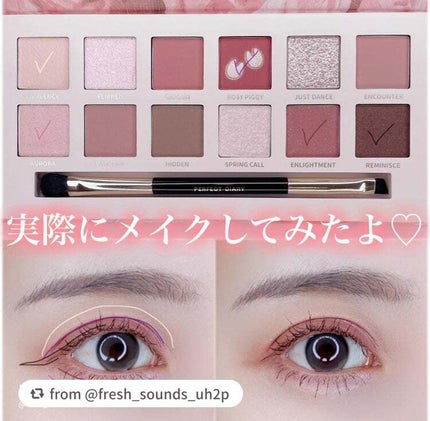 エクスプローラ12色 動物アイシャドウパレット/PERFECT DIARY/アイシャドウパレットを使ったクチコミ(5枚目)