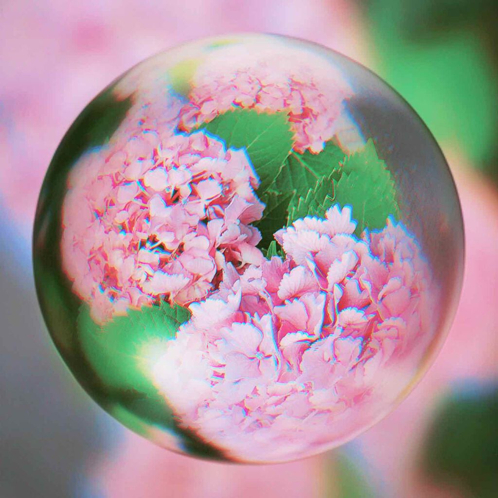 アセチノメガシェイプ/ヤーマン/ヘッドマッサージャーを使ったクチコミ（1枚目）