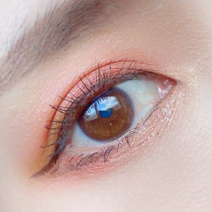 エクスプローラ12色 動物アイシャドウパレット/PERFECT DIARY/アイシャドウパレットを使ったクチコミ(2枚目)