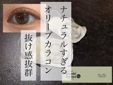 Angelcolor Bambi Series 1day /AngelColor/ワンデー(1DAY)カラコンを使ったクチコミ(1枚目)
