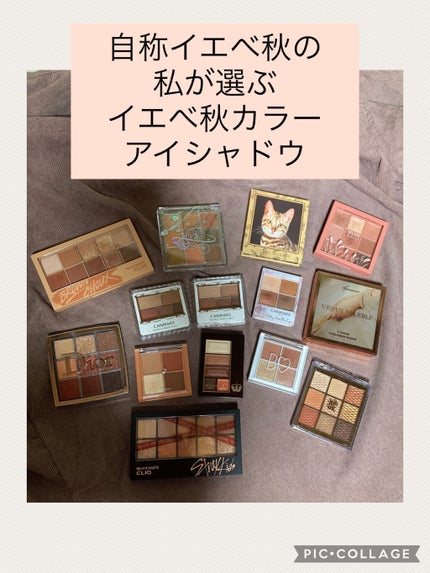 パーフェクトマルチアイズ/キャンメイク/アイシャドウパレットを使ったクチコミ(1枚目)