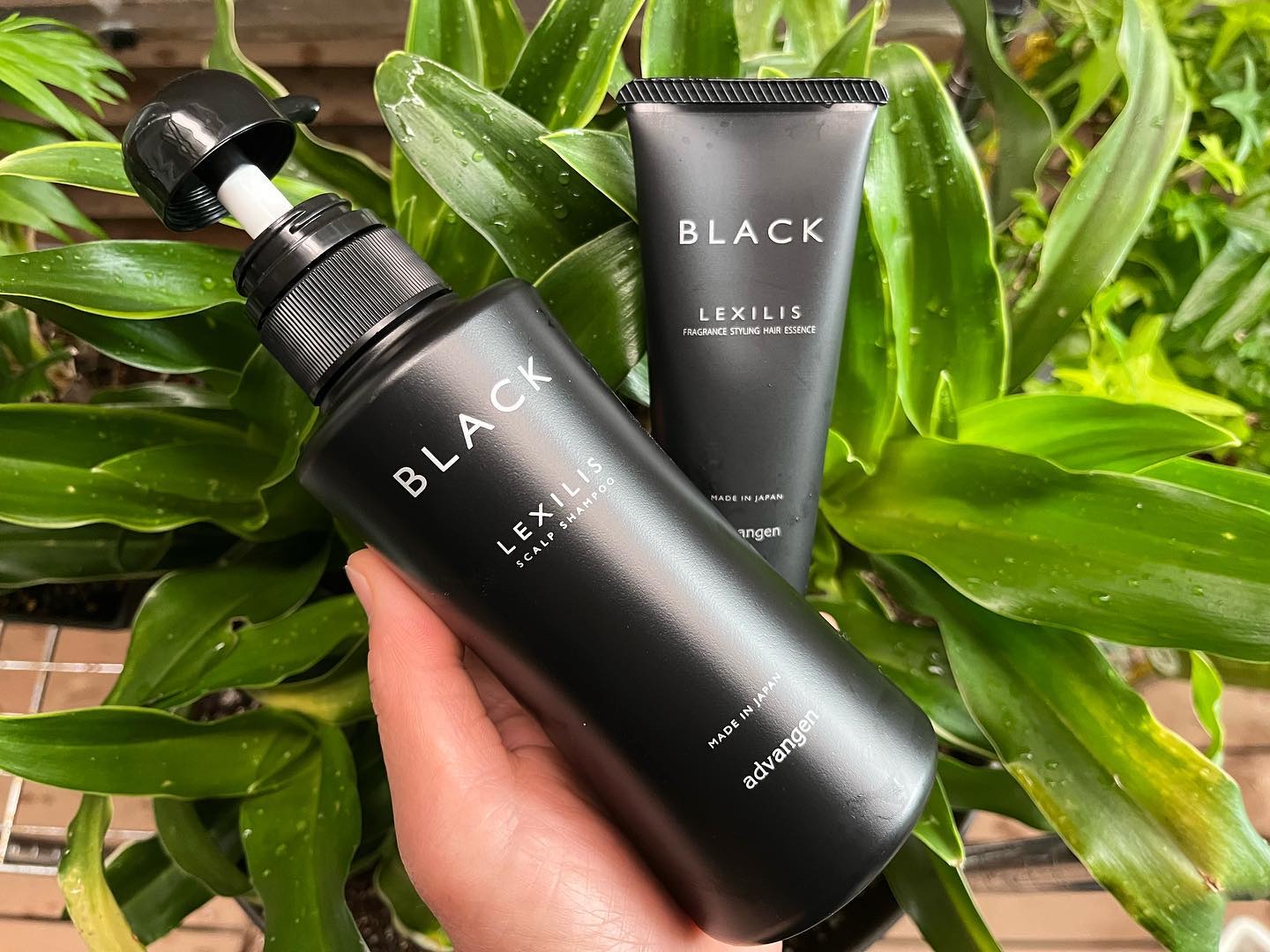 スカルプシャンプー/LEXILIS BLACK FRAGRANCE/頭皮ケアを使ったクチコミ（1枚目）