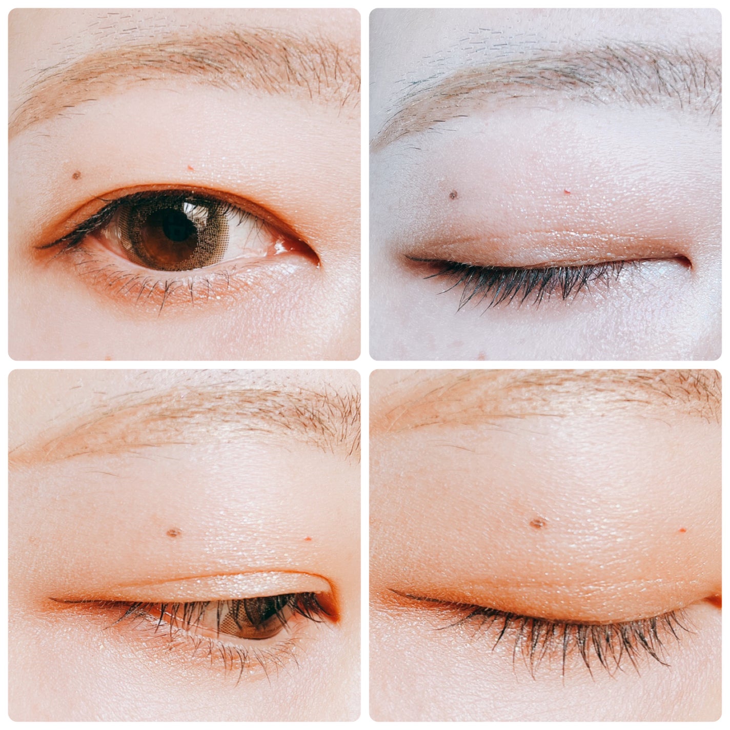 エレクトリックショックアイズ /KATE/アイシャドウパレットを使ったクチコミ(3枚目)