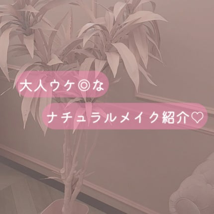 パーフェクトマルチアイズ/キャンメイク/アイシャドウパレットを使ったクチコミ(1枚目)