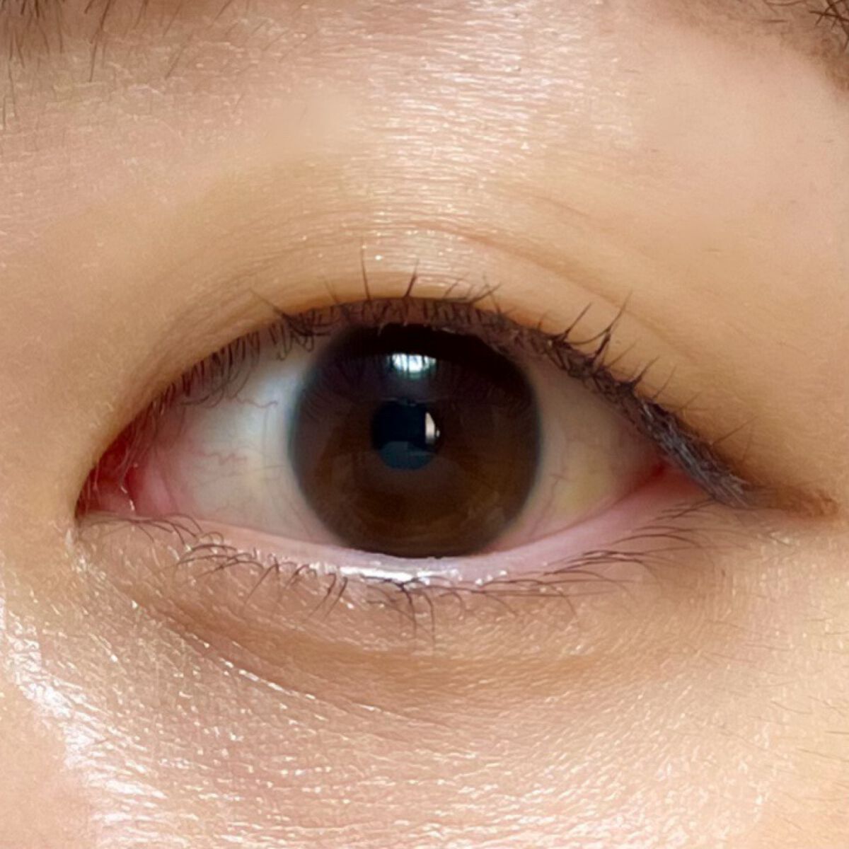 エテュセ アイエディション(カラーパレット)/ettusais/アイシャドウパレットを使ったクチコミ(4枚目)