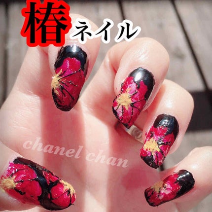 ベルベットパウダー/セリア/ネイルチップ・パーツを使ったクチコミ(1枚目)