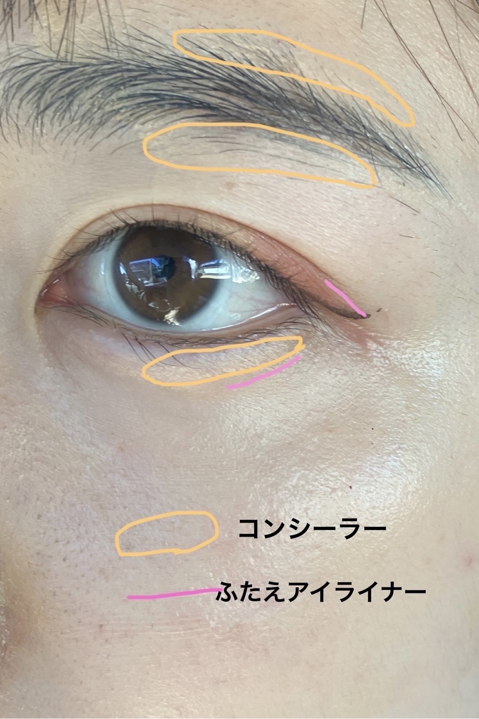 描くふたえアイライナー/CEZANNE/リキッドアイライナーを使ったクチコミ（2枚目）