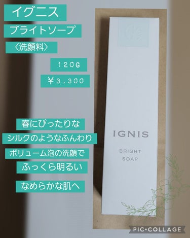 IGNIS ブライト ソープのクチコミ「今回は、IGNISのブライト ソープを紹介します(´▽`)ﾉ

シルクのようにやわらかくボリュ.....」（1枚目）
