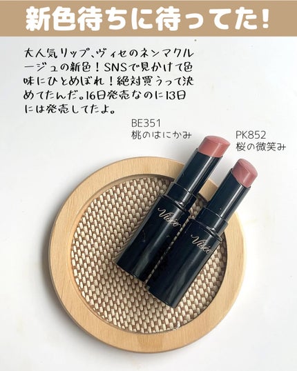 ネンマクフェイク ルージュ/Visée/口紅を使ったクチコミ(2枚目)