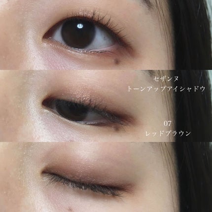 トーンアップアイシャドウ/CEZANNE/アイシャドウパレットを使ったクチコミ(1枚目)