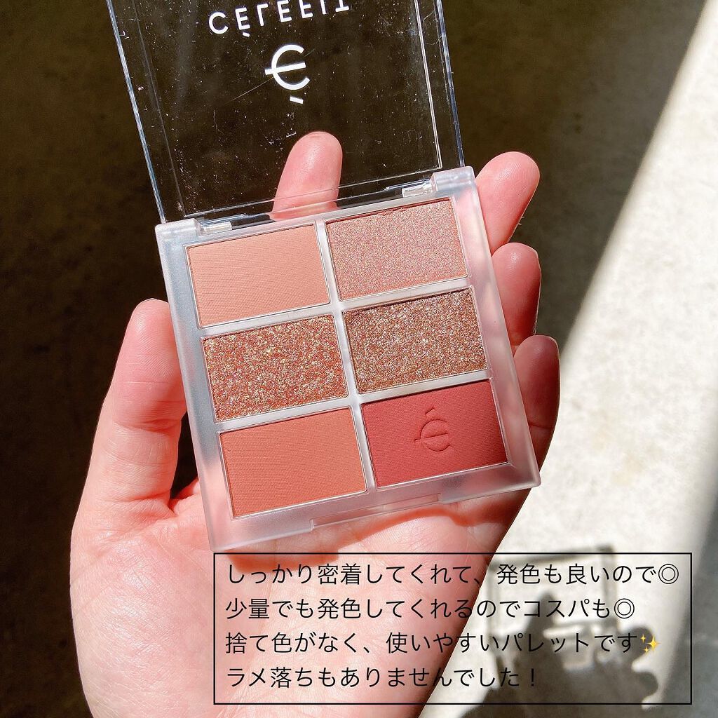 プロアイシャドウパレットセシル/CELEFIT/アイシャドウパレットを使ったクチコミ(6枚目)