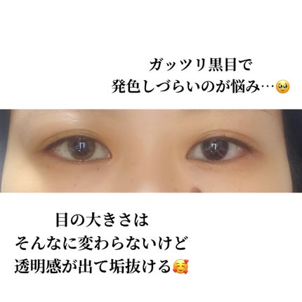 SCANDI 1day ヘーゼル/OLENS/カラーコンタクトレンズの画像