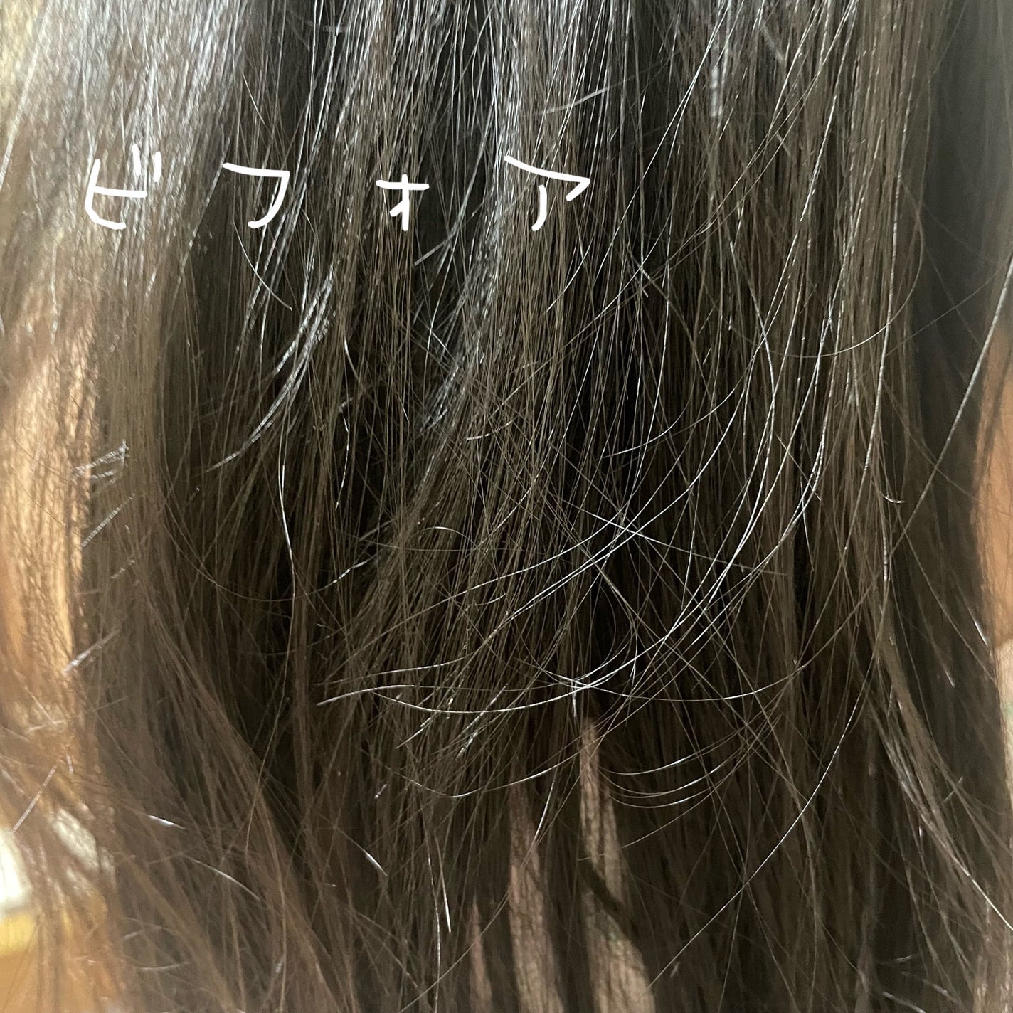 リアス ディープ モイスチャー シカ シャンプー/トリートメント/riasu/市販シャンプーを使ったクチコミ(3枚目)