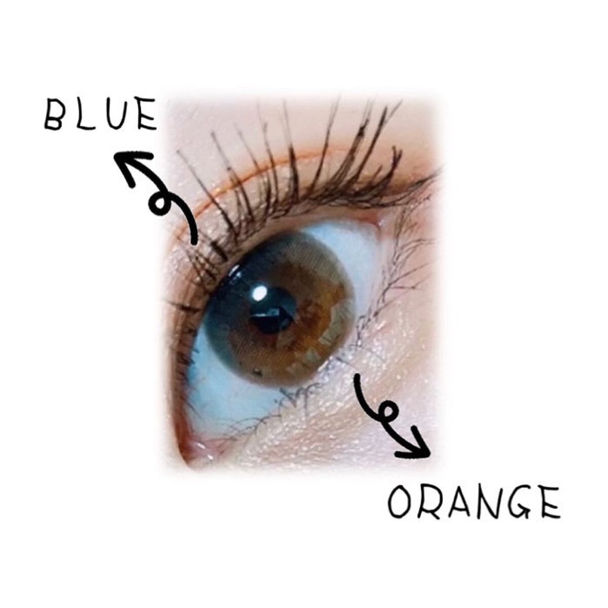 VNTUS 1day ナイトヴェール/VNTUS/ワンデー（１DAY）カラコンを使ったクチコミ（2枚目）