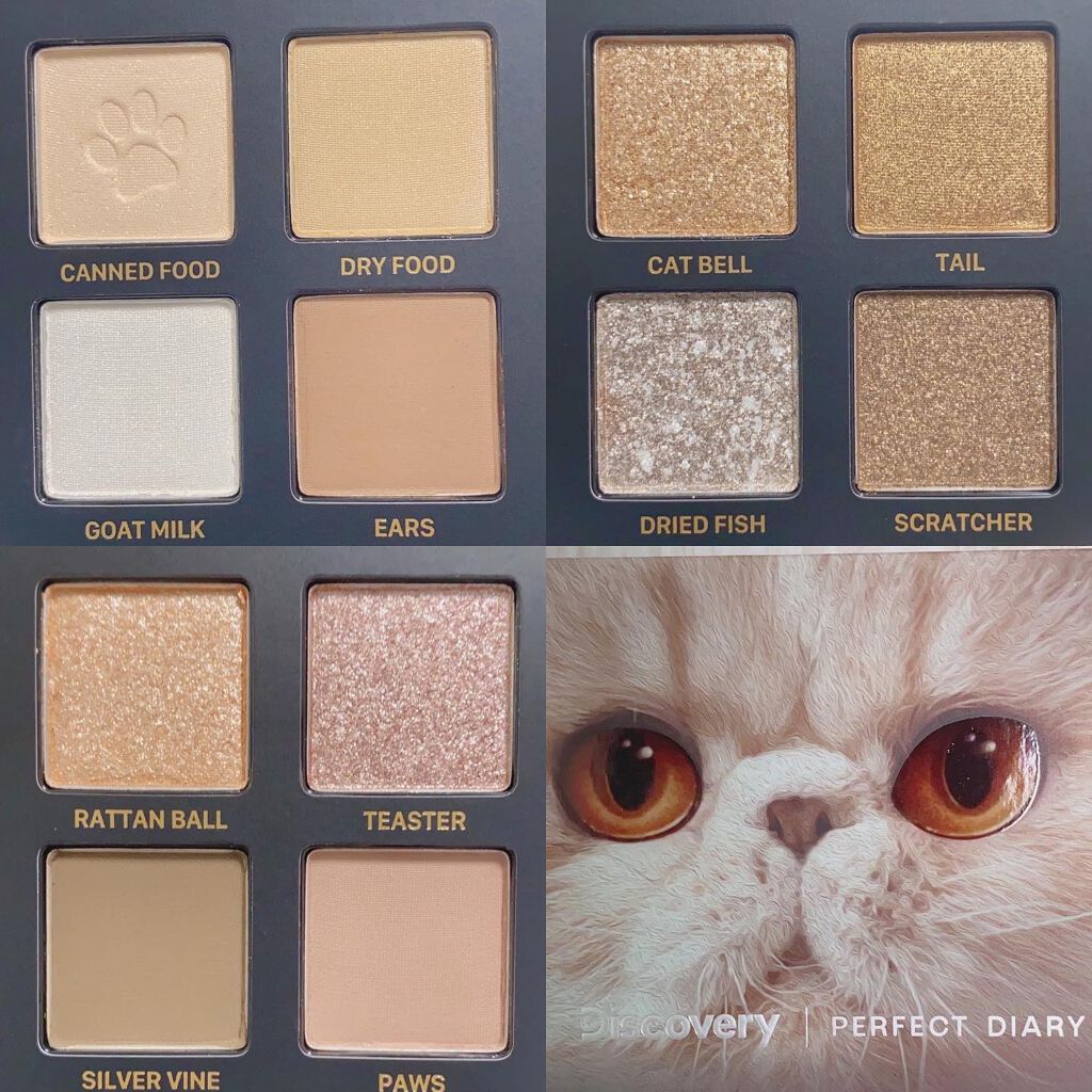 エクスプローラ12色 動物アイシャドウパレット/PERFECT DIARY/アイシャドウパレットを使ったクチコミ(3枚目)