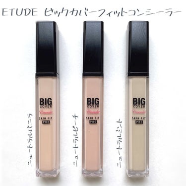 ビッグカバーフィットコンシーラー ニュートラルミント/ETUDE/リキッドコンシーラーを使ったクチコミ（2枚目）