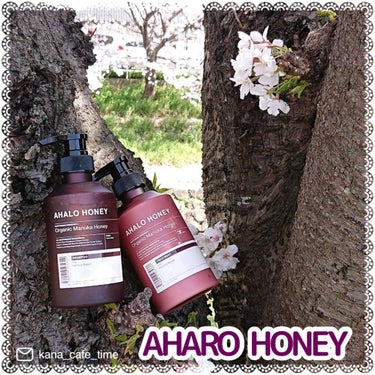 ハイドロ＆リペア ジェントル ヘアシャンプー／トリートメント/AHALO HONEY/シャンプー・コンディショナーを使ったクチコミ（1枚目）