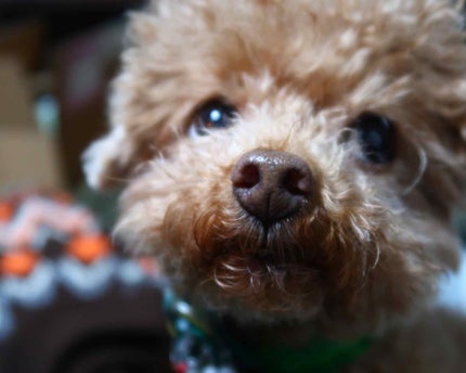 K_M on LIPS ãðMerryX'masðçããã¯ã©ããªã€ããããããã®ããªâšæ..ãïŒ3æç®ïŒ