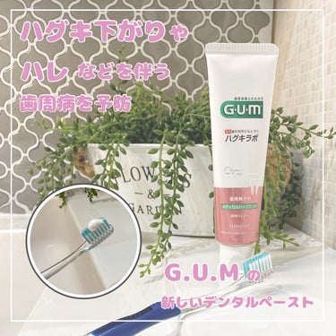 ガム・ハグキラボ デンタルペースト/GUM/歯磨き粉を使ったクチコミ（1枚目）