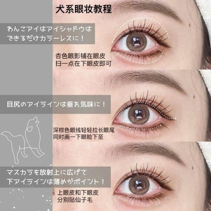 整形メイクちゃん on LIPS 「同じ目でもアイメイクによって別人に?愛され動物を集めたアイメイ..」(4枚目)