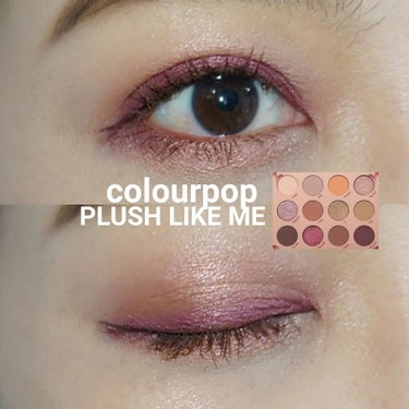 プラッシュ ライク ミー/ColourPop/アイシャドウパレットを使ったクチコミ（1枚目）