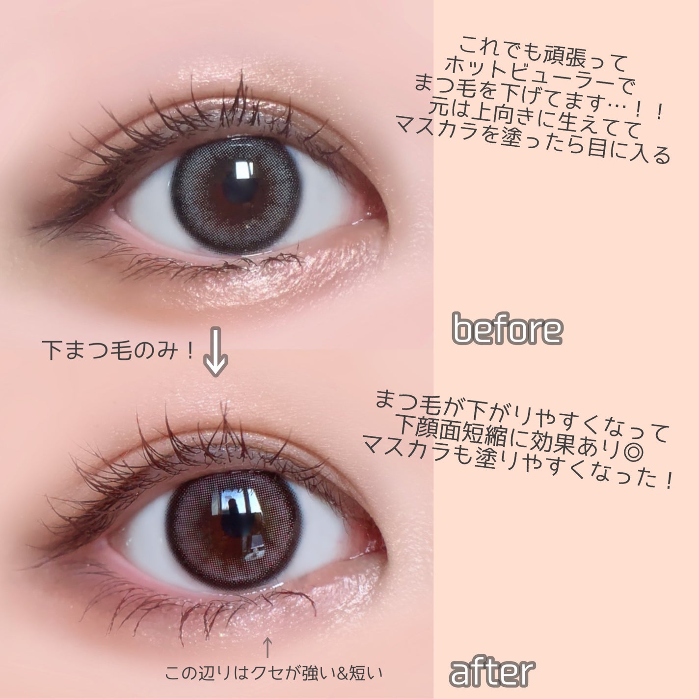 セルフまつ毛パーマキット/シルキーロールズ/その他キットセットを使ったクチコミ(4枚目)