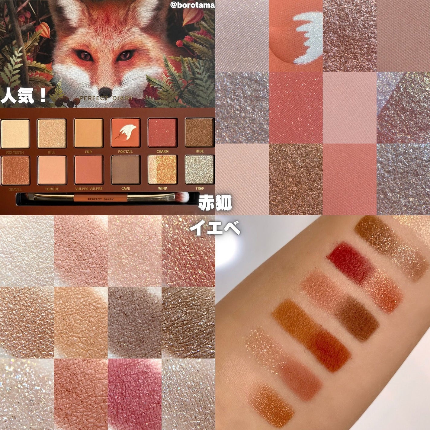 エクスプローラ12色 動物アイシャドウパレット/PERFECT DIARY/アイシャドウパレットを使ったクチコミ(6枚目)