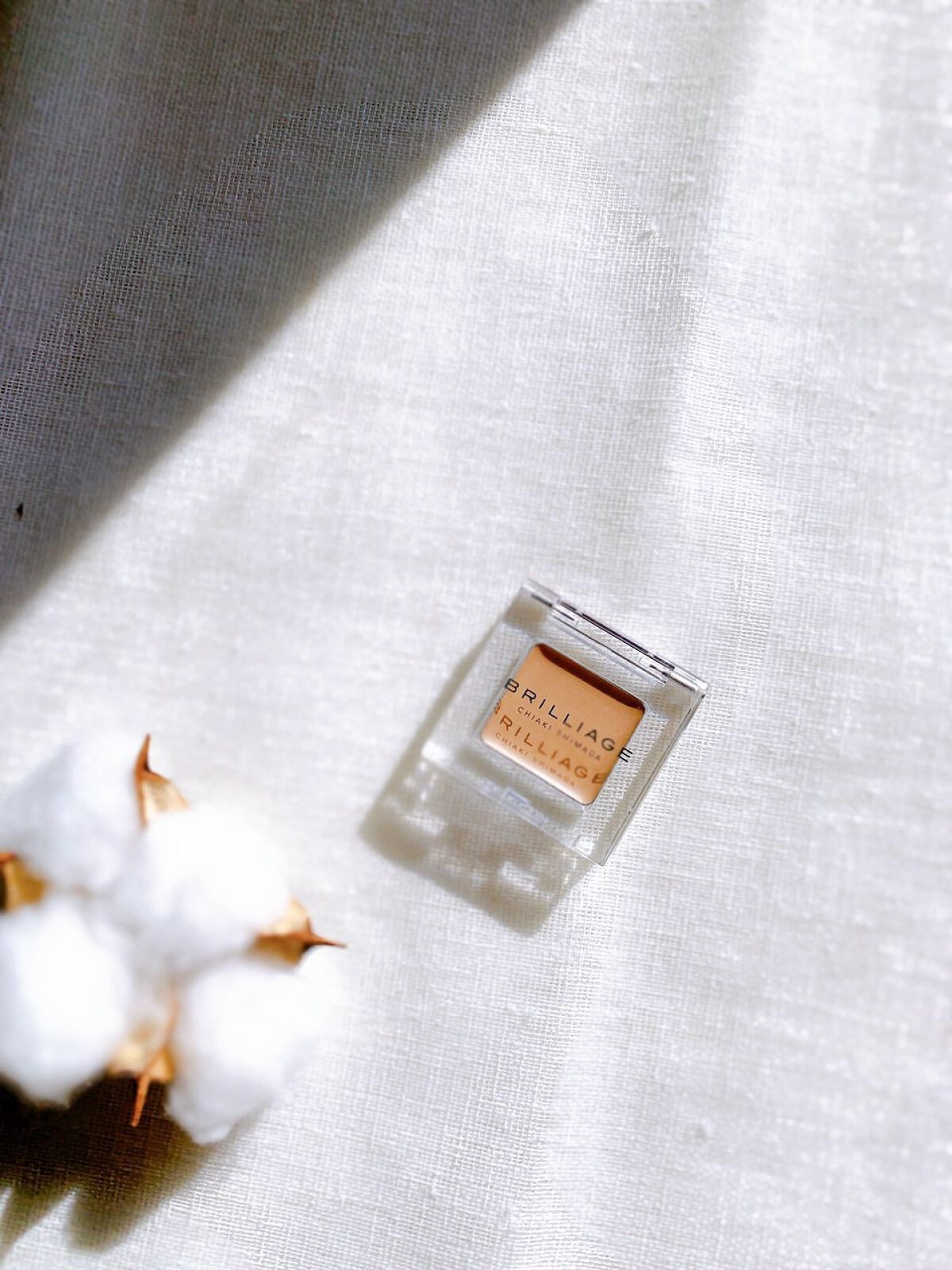 ワンダークリエイション /ブリリアージュ/単色アイシャドウを使ったクチコミ(2枚目)