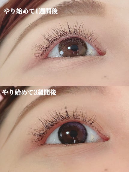 を使ったクチコミ(2枚目)