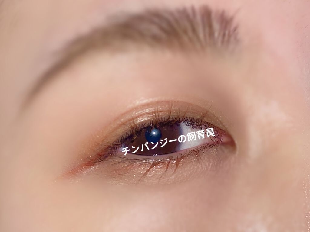 オール テイク ムード パレット(24AD) 【旧】03 BURNT BREEZE/PERIPERA/アイシャドウパレットを使ったクチコミ（2枚目）