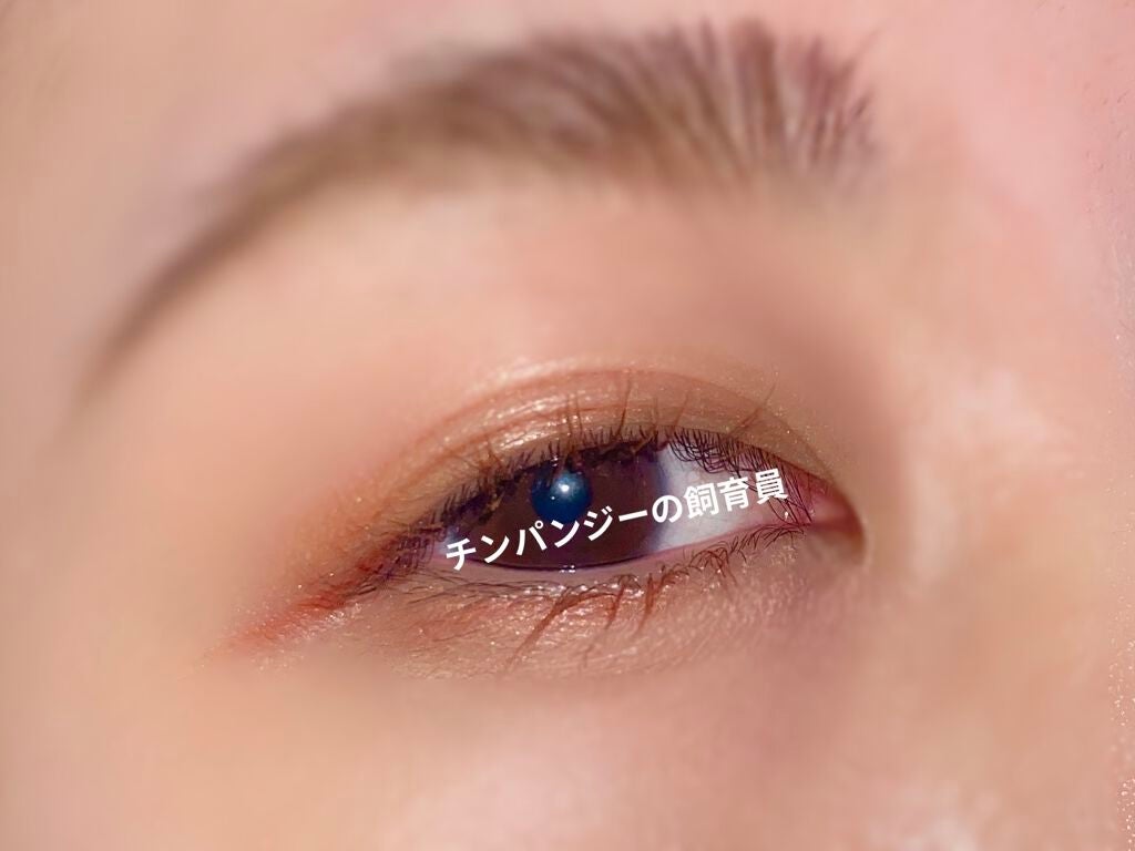 オール テイク ムード パレット(24AD)/PERIPERA/アイシャドウパレットを使ったクチコミ(2枚目)