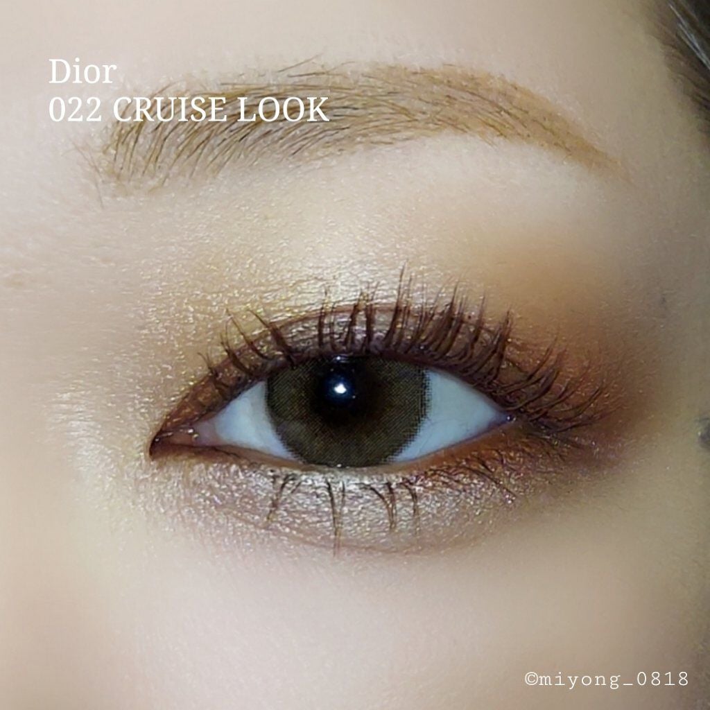 【旧】サンク クルール クチュール/Dior/アイシャドウパレットを使ったクチコミ(5枚目)