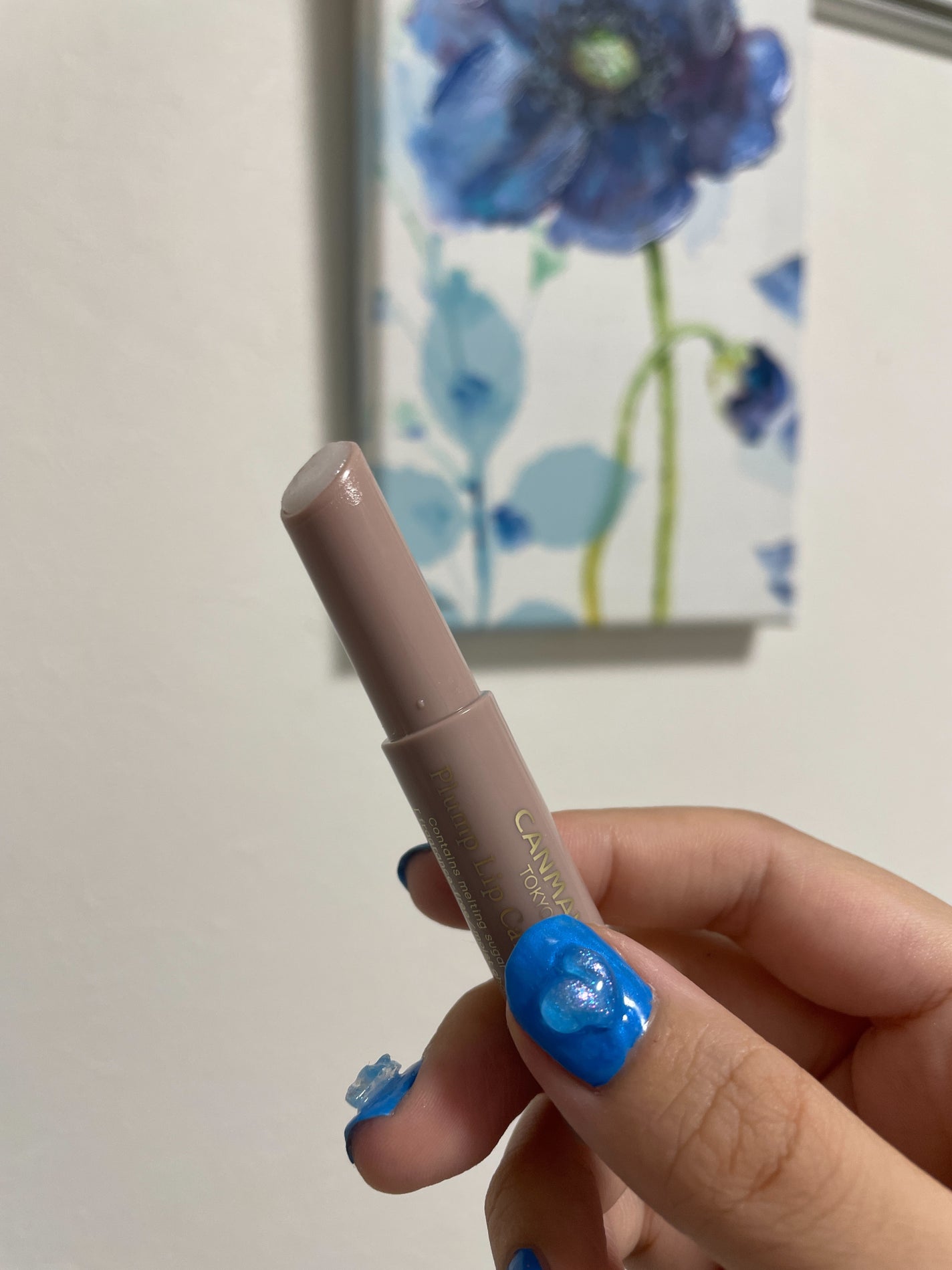 プランプリップケアスクラブ/キャンメイク/リップスクラブを使ったクチコミ(2枚目)