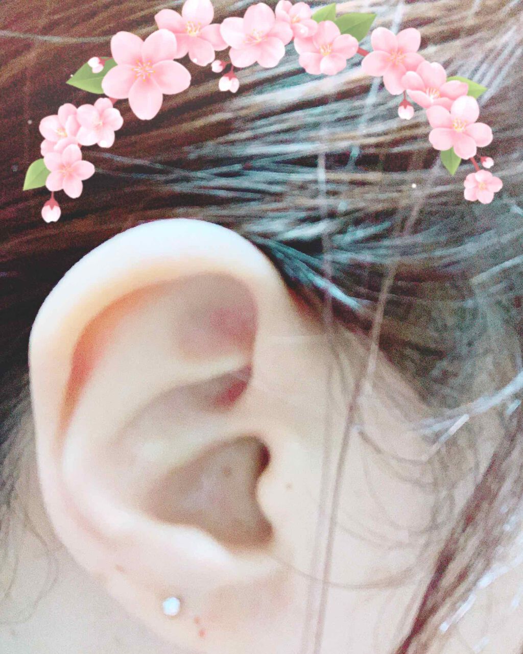 アイラッシュフィクサーEX 552/D-UP/つけまつげを使ったクチコミ（1枚目）