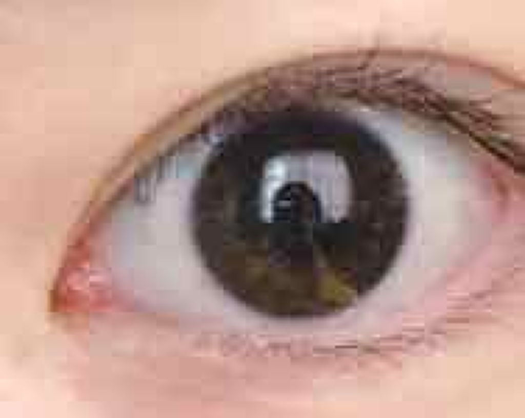 スキニーリッチシャドウ/excel/アイシャドウパレットを使ったクチコミ（3枚目）