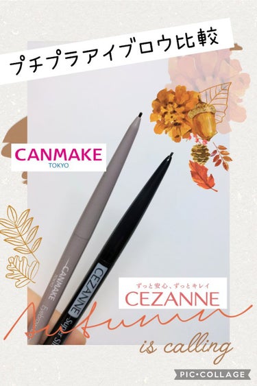 超細芯アイブロウ/CEZANNE/アイブロウペンシルを使ったクチコミ（1枚目）