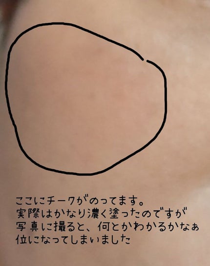 【旧】ディオールスキン ルージュ ブラッシュ 459 チャーネル〈ディオール エン ルージュ エディション〉(生産終了)/Dior/パウダーチークの画像