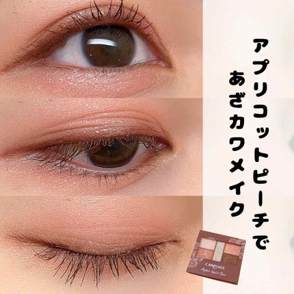 パーフェクトスタイリストアイズ/キャンメイク/アイシャドウパレットを使ったクチコミ(1枚目)